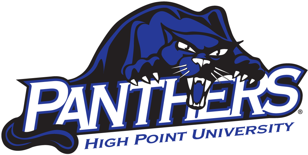 High Point Panthers 2004-Pres Alternate Logo t shirts iron on transfers v5